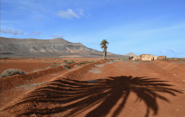 Screenshot 2024-11-12 at 12.13.01 PM