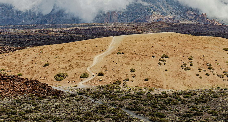 ROADS