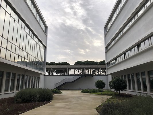 Sehir Universitesi - Dragos