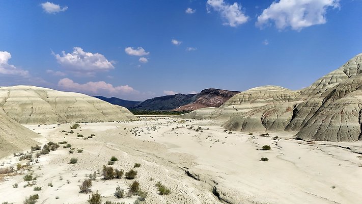 DJI 20240822160536 0204 D - default