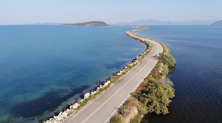 koronisia 10