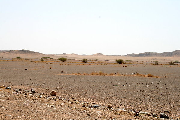 IMG 0007