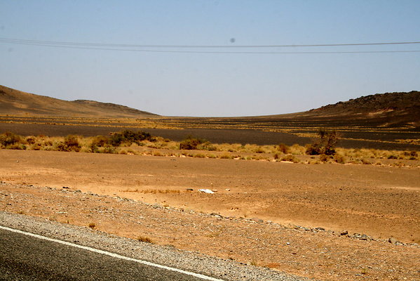 IMG 0020