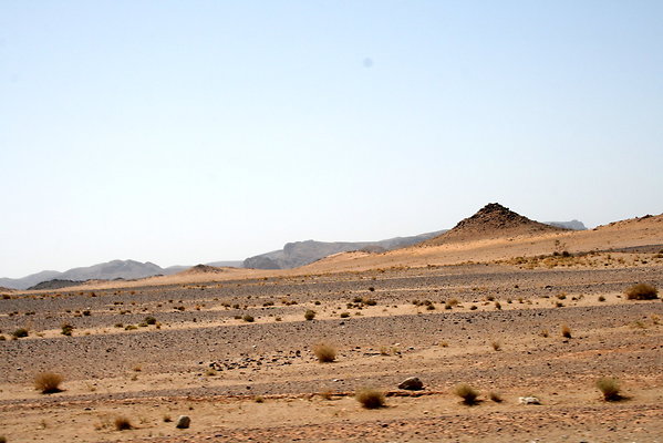 IMG 0045
