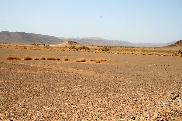 IMG 0033