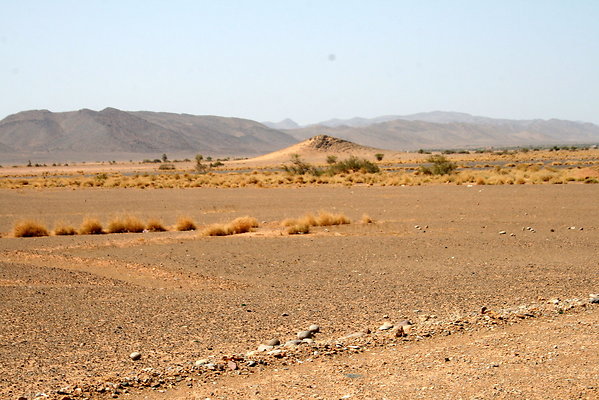 IMG 0013
