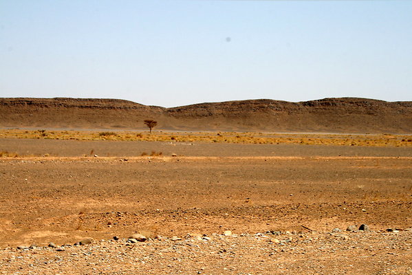 IMG 0025