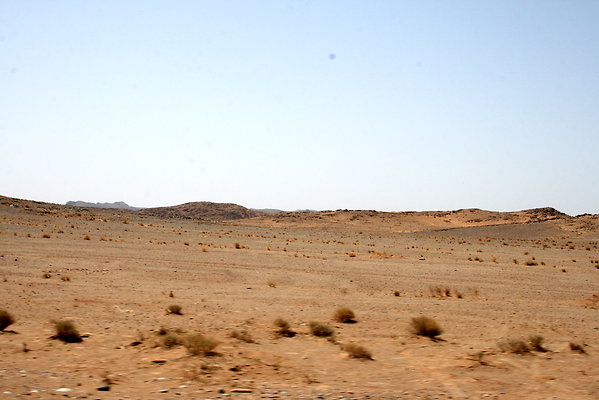 IMG 0044