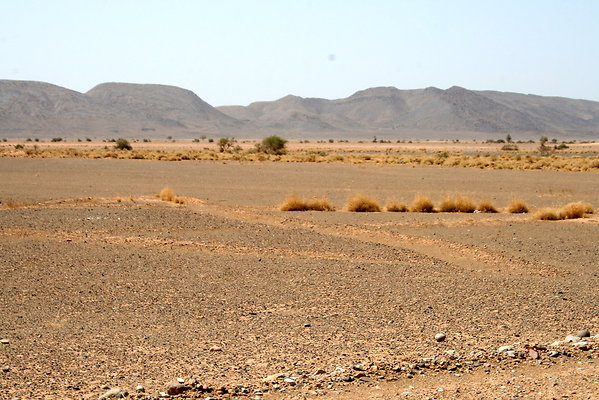 IMG 0014
