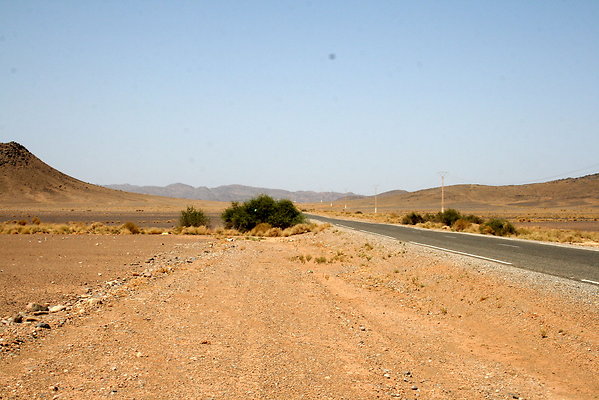 IMG 0037