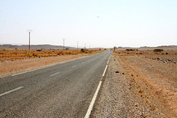 IMG 0005