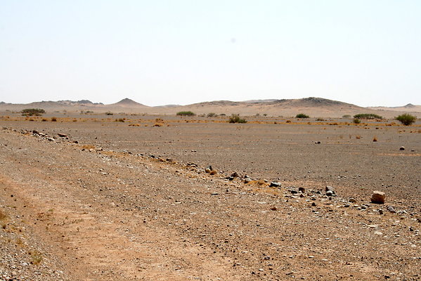 IMG 0006