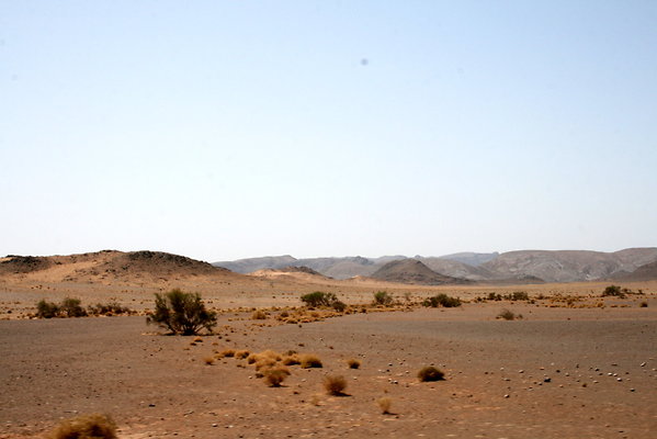 IMG 0042