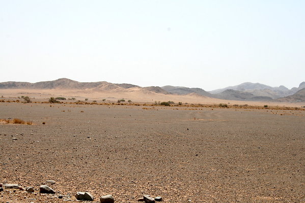 IMG 0008