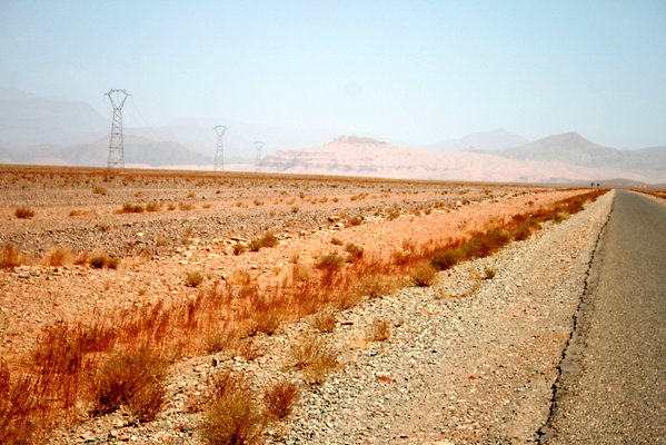 IMG 0012
