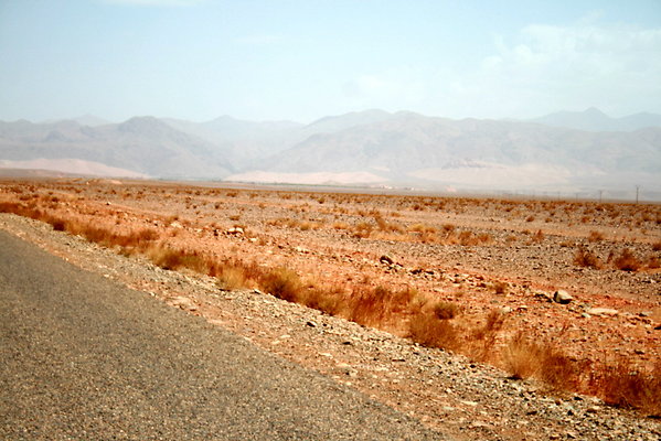 IMG 0013