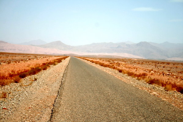IMG 0011
