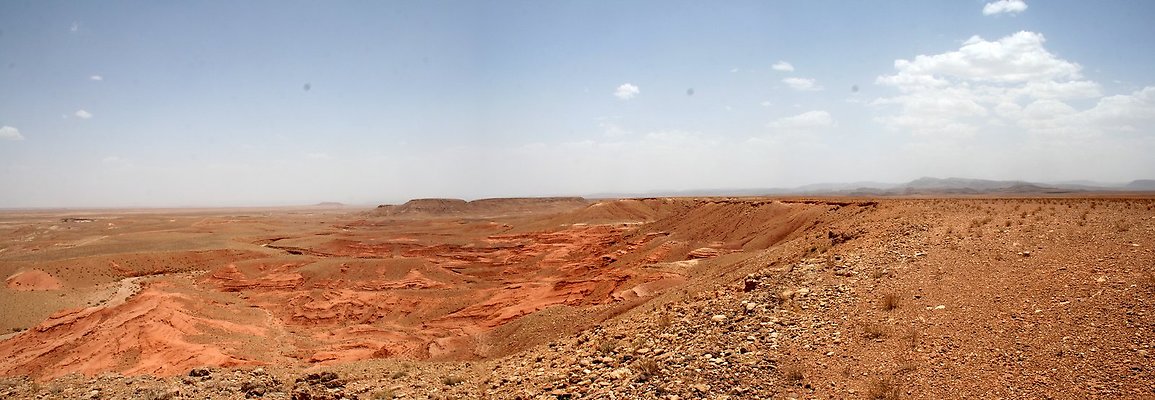 jimmys oasis desert OZ