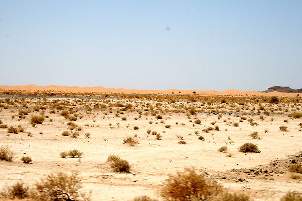 IMG 0089