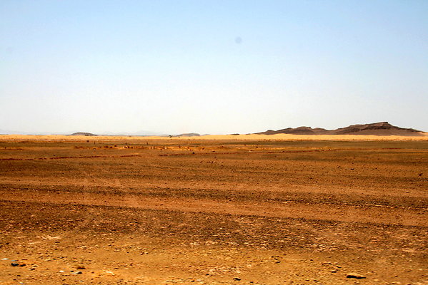 IMG 0073