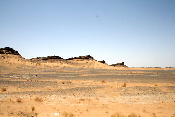IMG 0117