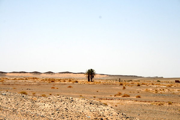 IMG 0105
