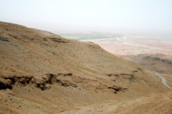 IMG 0079