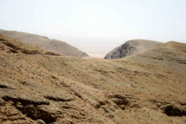 IMG 0078