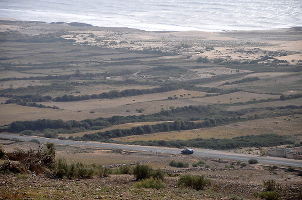 DSC 0876
