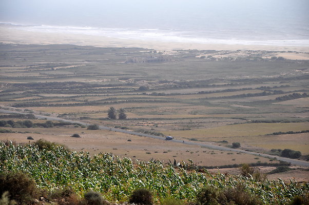 DSC 0878