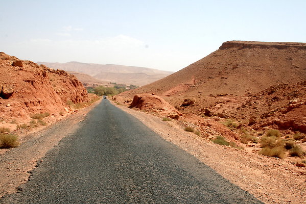 IMG 0009
