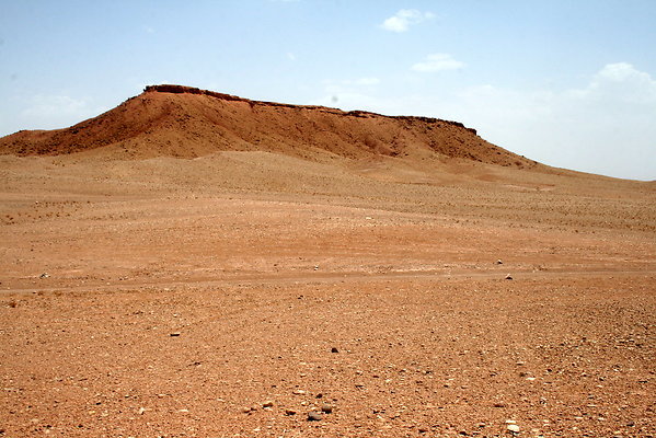 IMG 0202