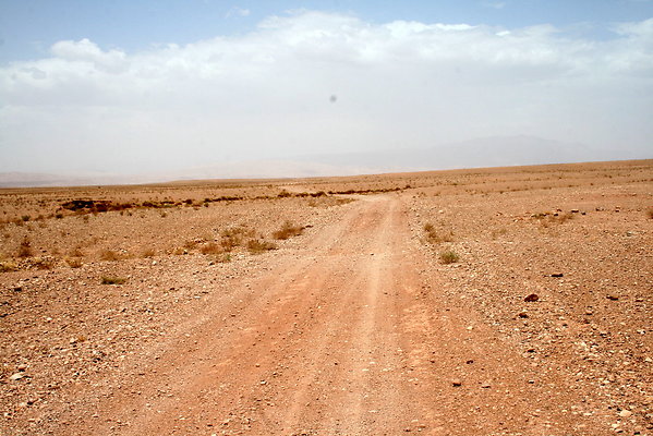 IMG 0213
