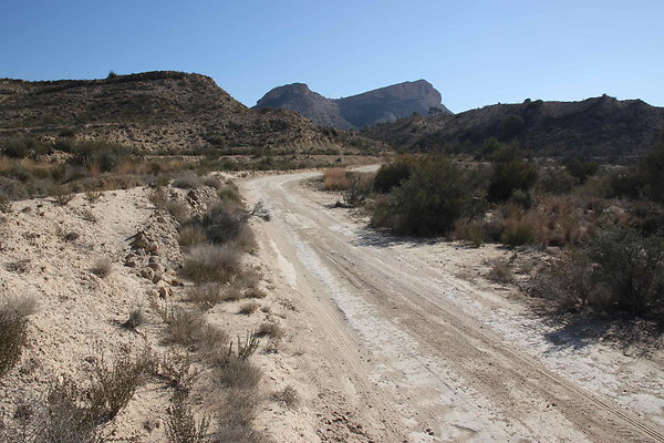 Desert 14
