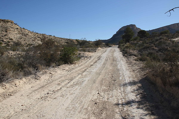 Desert 8