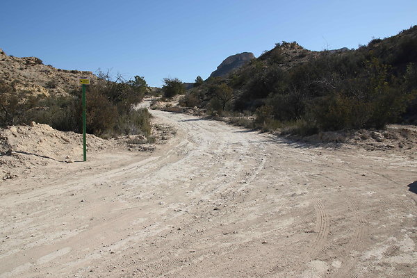 Desert 11