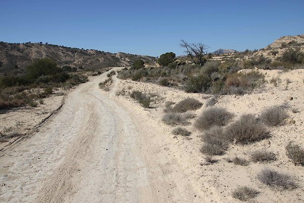 Desert 13