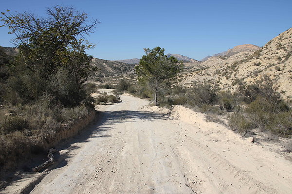 DESERT ROADS