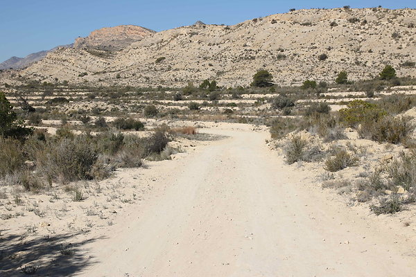 Desert 12