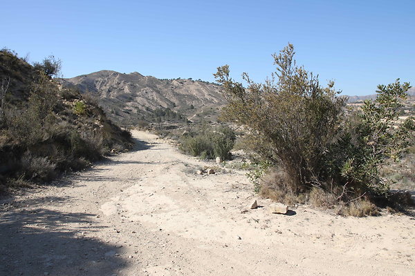 Desert 9